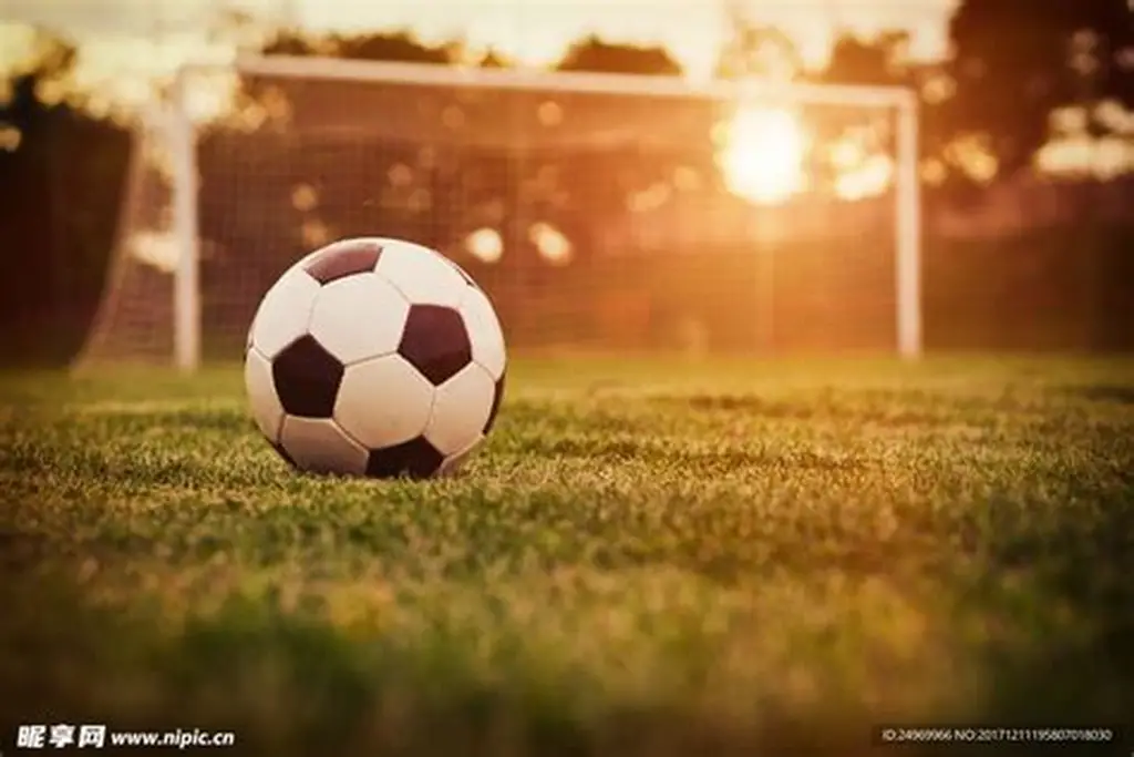 星空体育(中国)官方网站-STARSPORTS